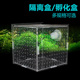 速发隔离产单双小格隔离网亚克力鱼缸透明水族多鱼苗孵化器繁殖箱
