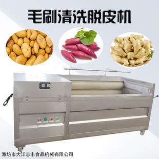 猪头毛辊清洗机现货供应松香清洗机时力全自动猪脚毛刷清洗机