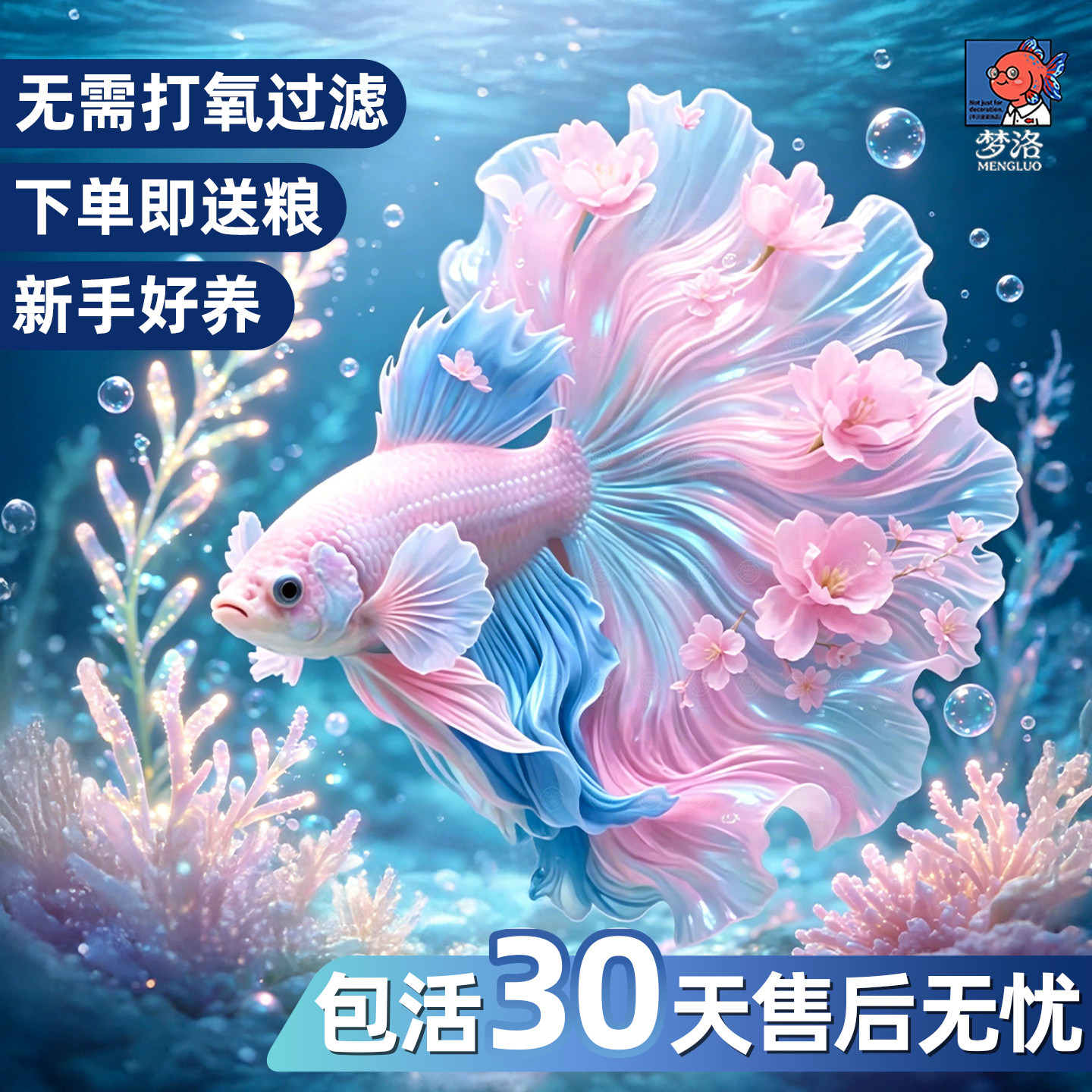 泰国斗鱼观赏鱼苗金鱼热带好养耐活体小型鱼缸淡水半月宠物婚纱鱼