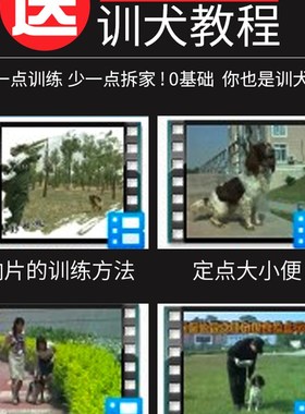 极速professionalk dog training artifact training cat dog tra