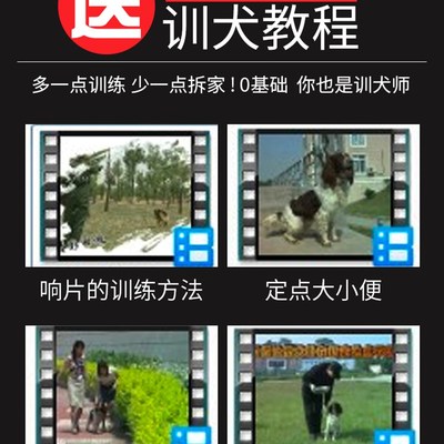 极速professionalk dog training artifact training cat dog tra