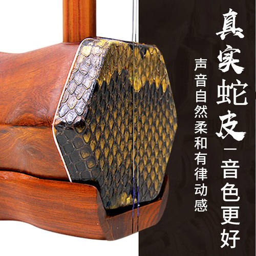 极速相思鸟红花梨二胡乐器初学练习蟒皮六方二胡民族W弹奏乐器带