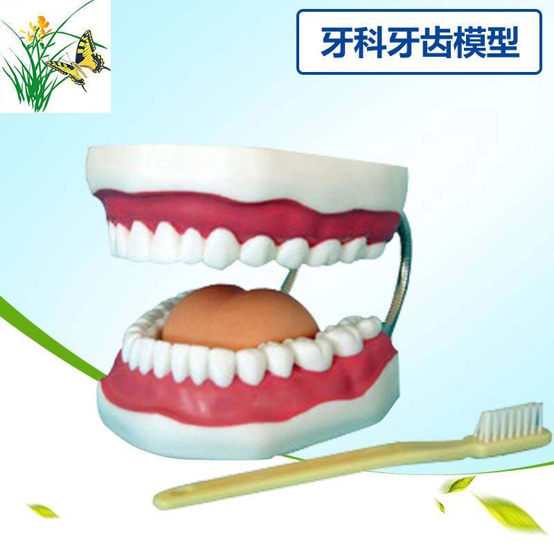 极速Dental Materials/Denttal Consumables/Oral Instruments/De