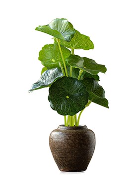 新品新中式迷你仿古小花器 陶瓷花瓶禅意绿萝铜钱草花.插复古水养