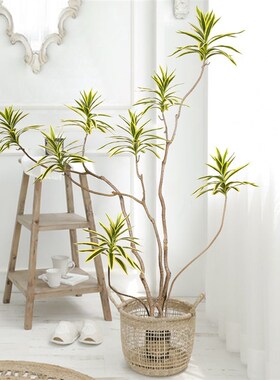 极速厂家厂家3D打印仿真绿色植物D物百合竹盆景室内外客厅假树造