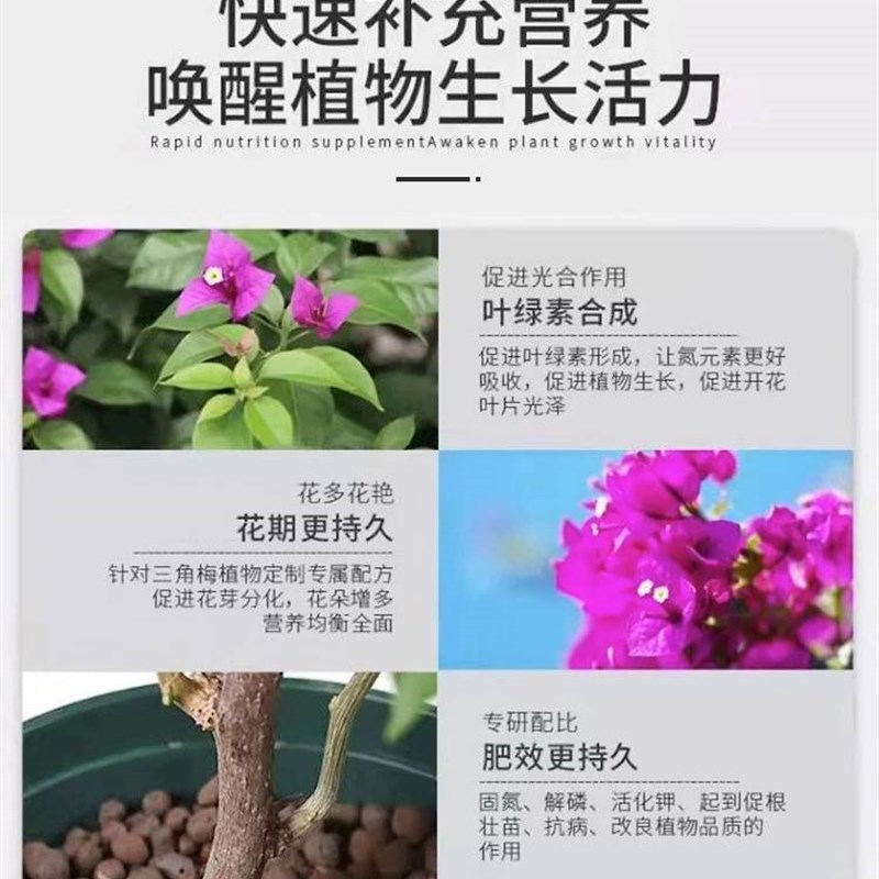 极速三角c梅开花肥促花促爆冒花素硫酸亚铁骨粉花肥料三角梅营养