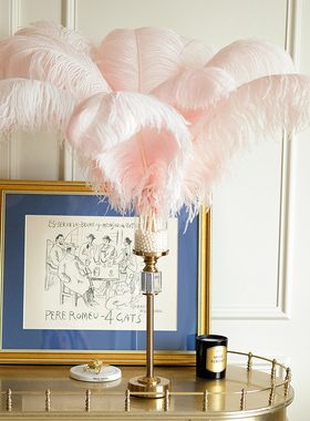 新品天然鸵鸟羽毛家居软装饰品粉色北E欧式Ins门店铺直播橱窗展示