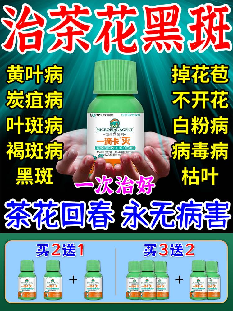 极速茶花肥料肥黑斑病药治枯叶黄叶掉花苞焦Q尖炭疽病一滴卡灭