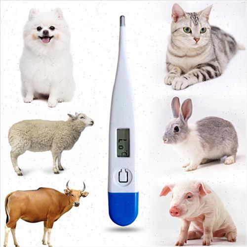 极速养殖场兽用体温计宠物量体温表测G温猫咪狗牛羊猪电子温度计