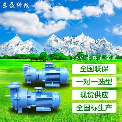 山东东泵卧式2BV水环真空泵全国联保fang爆真空泵直连式真空泵