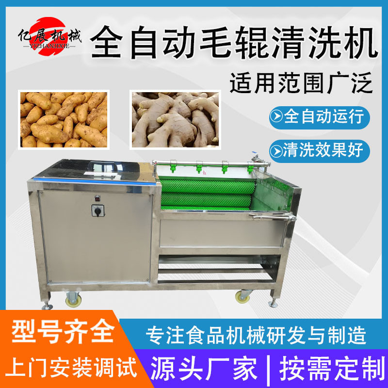 根茎类毛辊去皮去泥清洗机