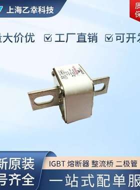 巴斯曼熔断器  170M6948 170M6949 170M6950 170M6951 170M6958