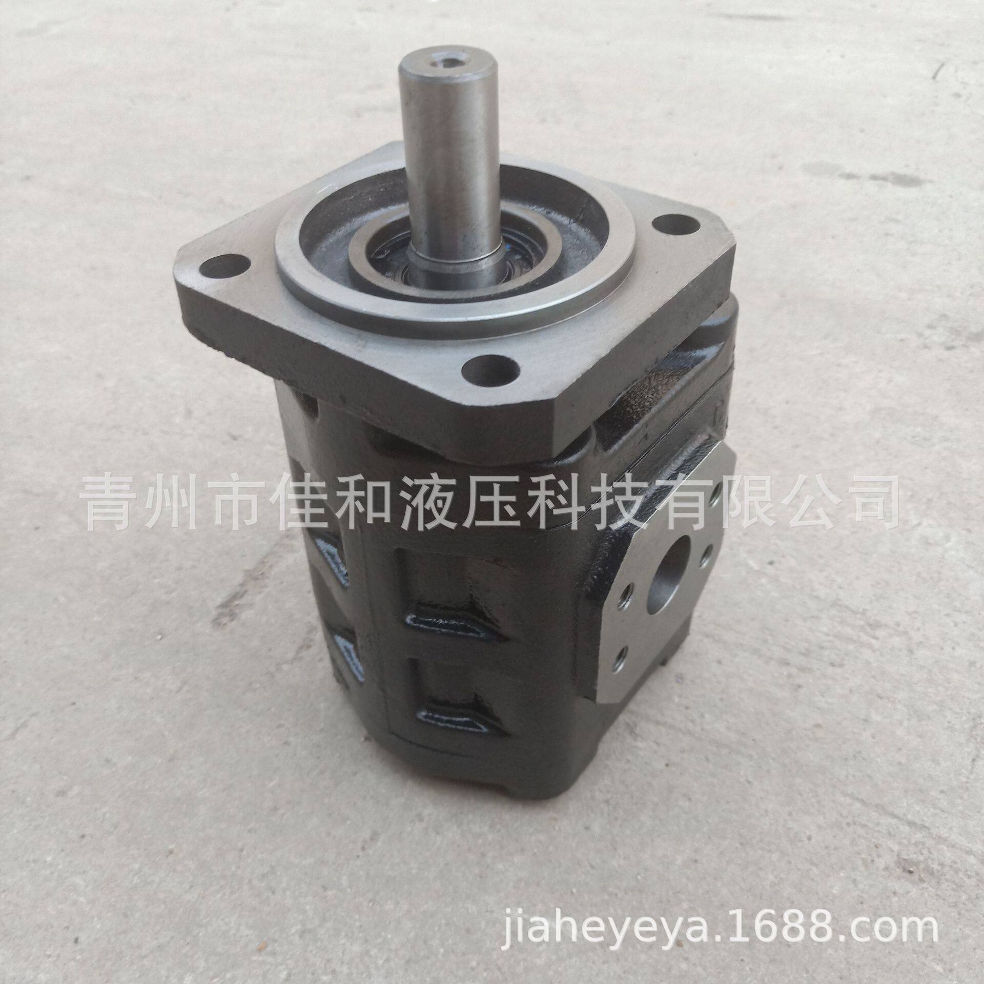 扒渣机CBGJ系列齿轮泵 运行稳定 噪音低 多种规格