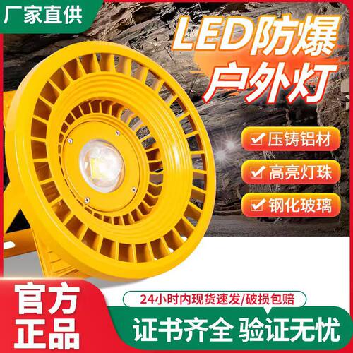 LED防爆投光灯12-36V220V