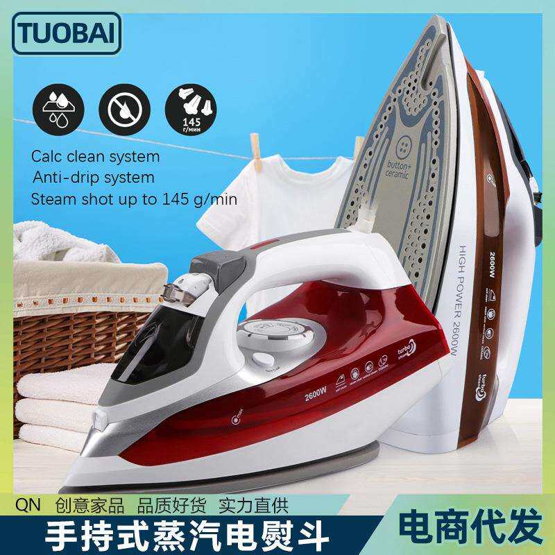 欧规220V手持式迷你挂烫机小型便携式熨烫机熨差旅居家烫衣服神器