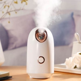极速Face Steamer Nano Ionic Fzacial Sauna Spa Moisturizing C