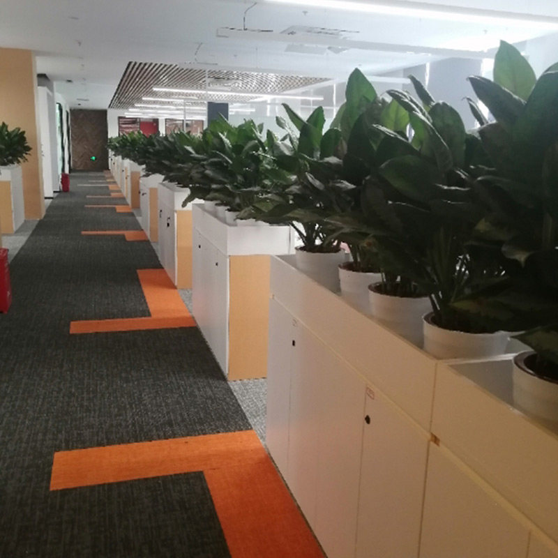 极速深圳a绿植租赁花卉租赁绿植租摆 植物租赁办公室绿植大型绿植