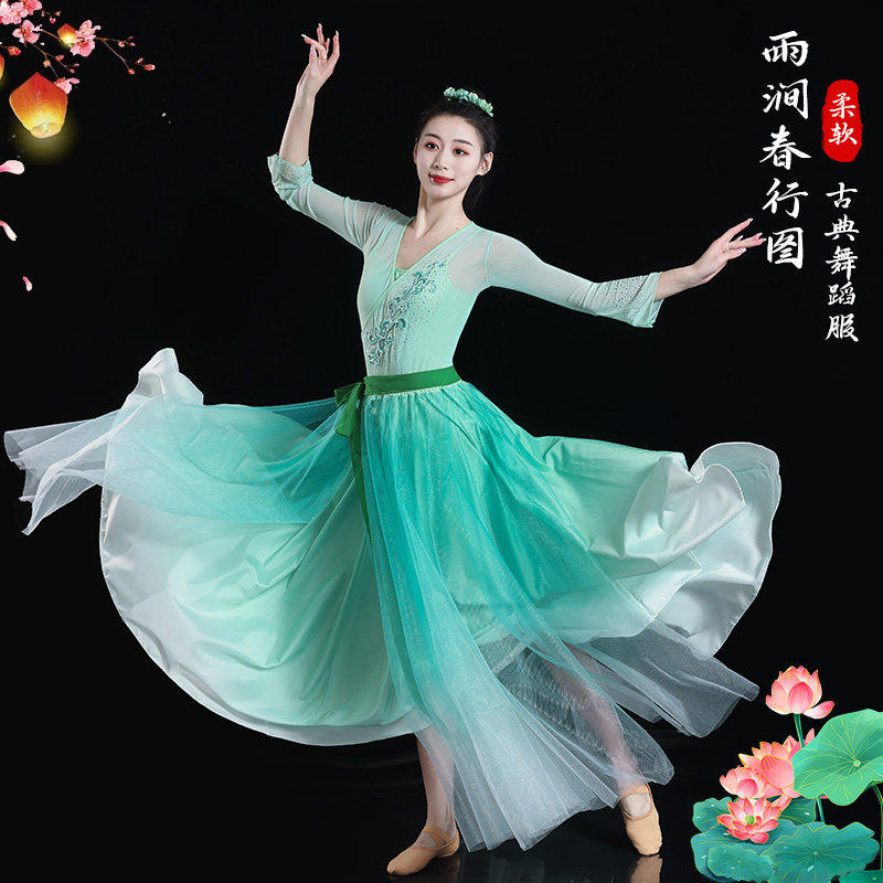 古典舞蹈服装女雨涧春行图飘逸演出服中国风艺考大裙摆纱衣练功服
