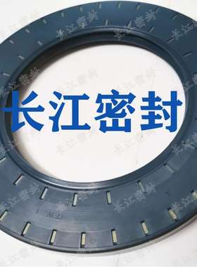 108-170-15/12 100-130-12 BAU6SLX2 6cfw 德国进口骨架油封油封