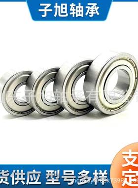 420材质轴承S6820 S6821 S6822 S6824 S6826ZZ-2RS千类深沟球轴承