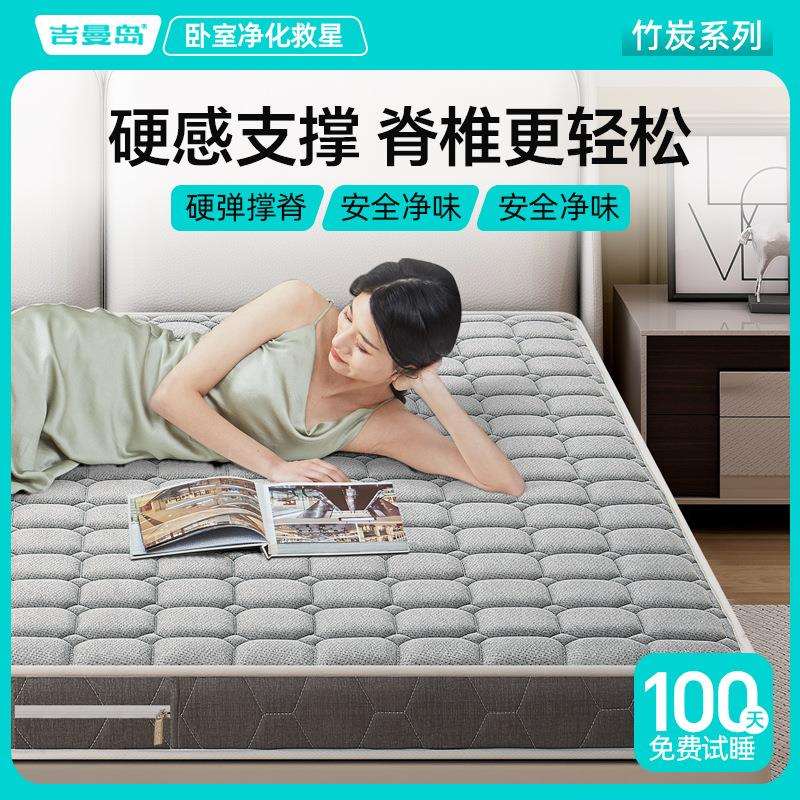 天然椰棕环保垫家用1.8米棕垫双人薄款硬垫子可折叠家用椰棕床垫