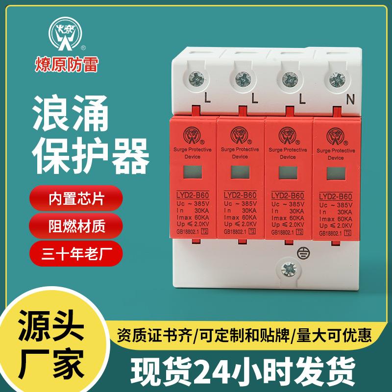 防雷浪涌保护器 LYD2-B60家用电源避雷器开关 电涌保护器