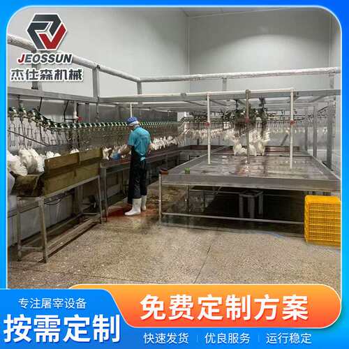 淘汰蛋鸡屠宰生产线全自动家禽屠宰设备不锈钢链条杀淘汰蛋鸡设备