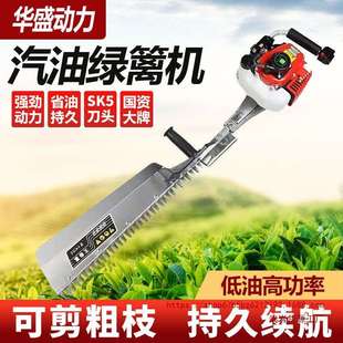 汽油修剪机华盛茶树修剪机绿 园林进口修剪机背负式 1435人收藏