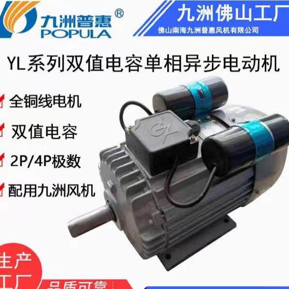 单相双值电容异步电动机 YL系列3kw 220V 全铜线马达九洲普惠电机