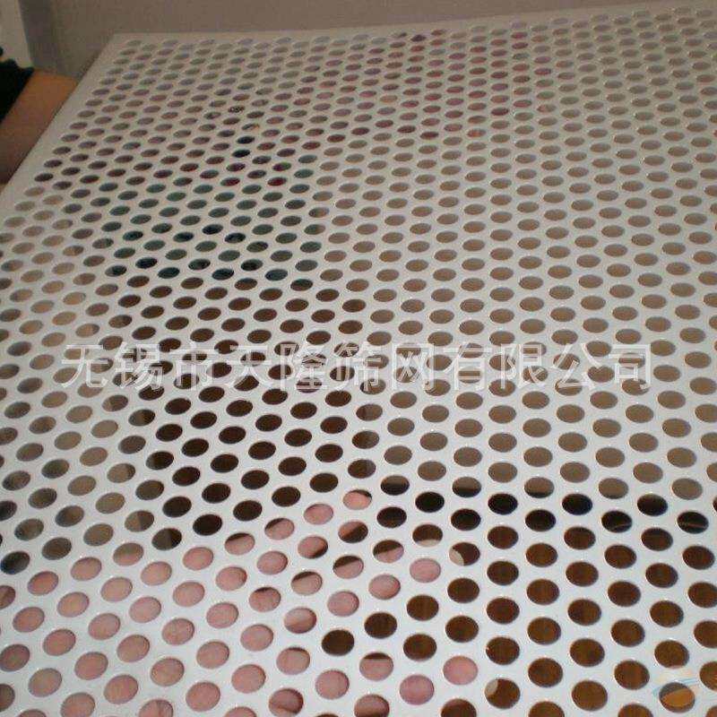 天隆不锈钢冲孔网 304厚6mm过滤筛分音箱网罩装饰孔板圆孔冲孔网