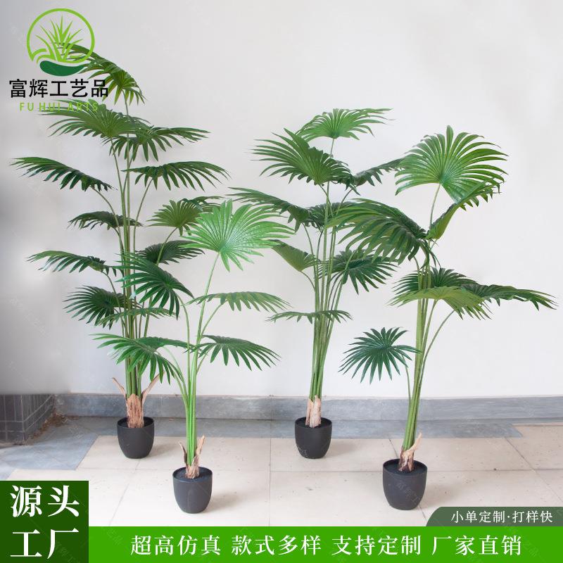 扇葵仿真绿植高级感葵树塑胶植物门店橱窗造景装饰假棕葵树