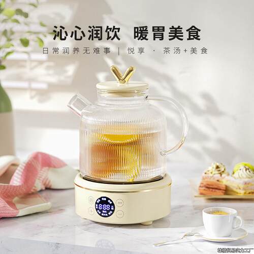 新款全玻璃恒温养生壶自动断电家用多功能小型煮茶烧水壶简约风