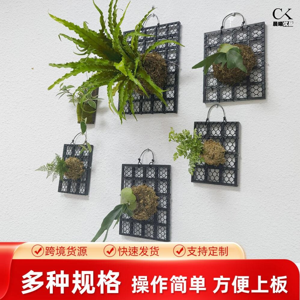 加厚鹿角蕨板 植床板石斛蕨类板美植板悬挂装饰品植床板园艺挂板