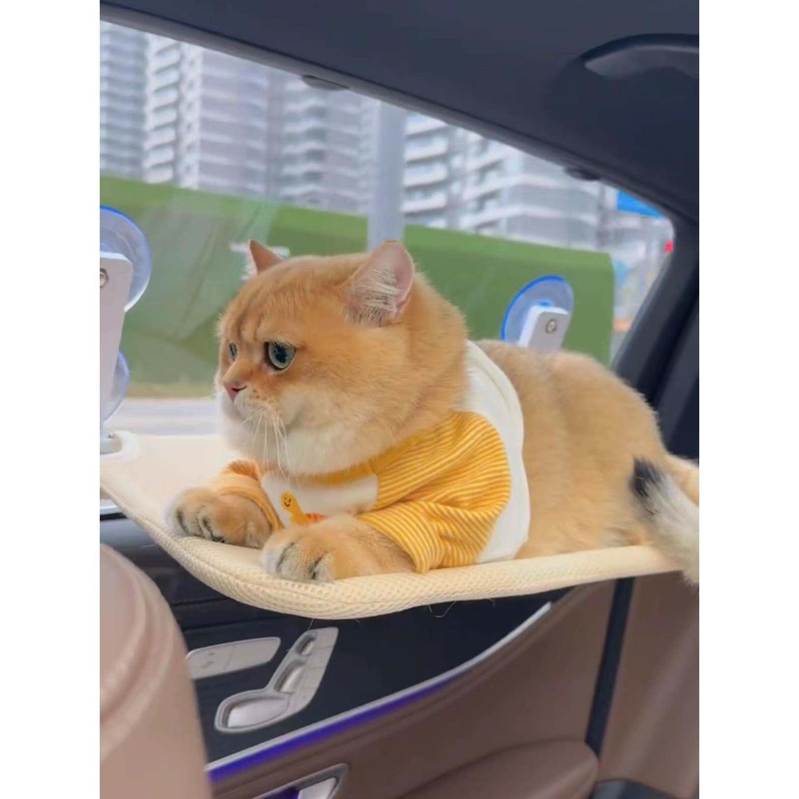 吸盘猫吊床车载车玻璃窗户晒太阳可折叠式悬挂睡觉床吊床肥猫猫窝