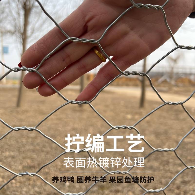 镀锌拧花网六角网隔离网铁丝网养殖防护围栏网钢丝网圈牛羊护栏网