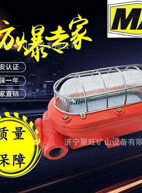 DGC16/127L(A)矿用隔爆型LED支架灯 DGC16/127L(A)LED支架灯