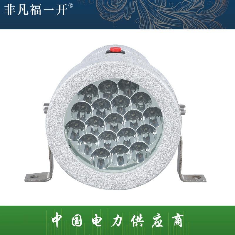 BSD96系列LED防爆视孔灯反应釜防爆视镜灯12V24V36V220V探照灯