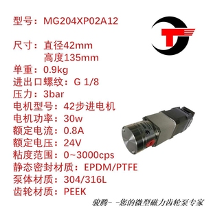 MG204XP02A12微型磁力泵齿轮灌装 机齿轮泵计量泵耐酸碱不锈钢精准