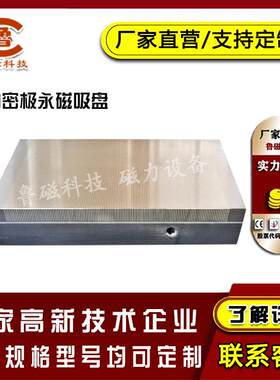 矩形密极永磁吸盘 XM91火花机划线永磁吸盘 手动永磁吸盘