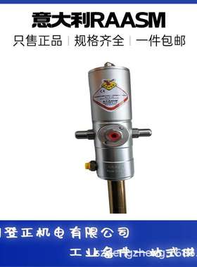 意大利进口RAASM黄油泵62095 磨煤机喷淋油泵