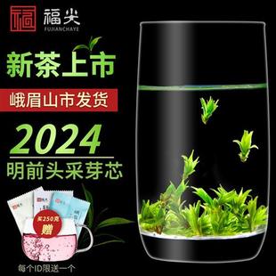 苦丁茶正品 特级小叶苦丁茶官方旗舰店2024新茶叶四川青山绿水米芽