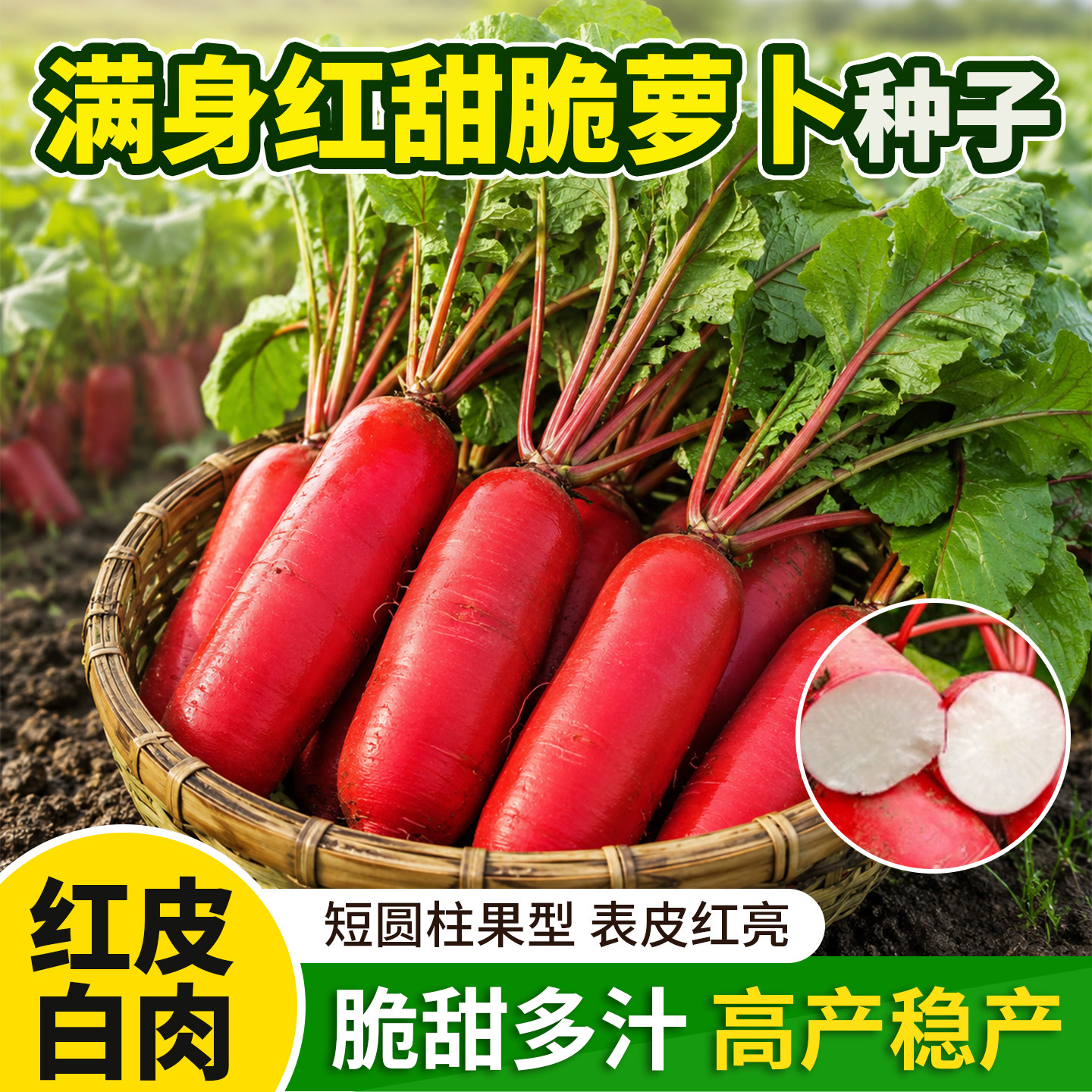 满身红甜脆萝卜种子蔬菜种子红皮白肉萝卜种籽耐热耐寒春秋季播种