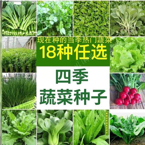 春秋各种蔬菜种子套餐