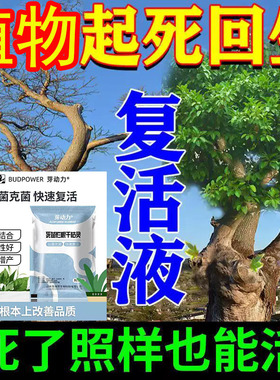 死苗烂根干枯灵营养液死大树复活灵生根液果树烂根烂苗根腐专用液
