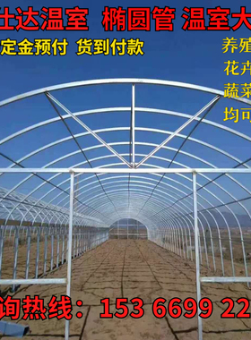 极速钢管骨架蔬菜养管养猪养鸡椭圆殖配室K大棚连R体栋全套温件支