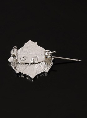 极速SCP foundation metal bwadge special accommodation measur