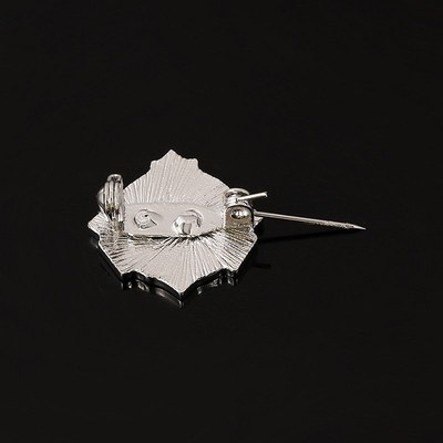 极速SCP foundation metal bwadge special accommodation measur