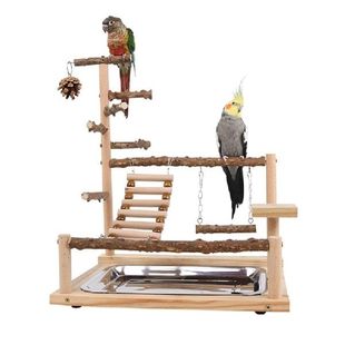 Pet Bird iParrot Parrots Playground Playstand 极速6XDE