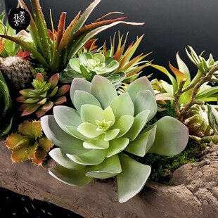 极速枯木仿真盆景摆件多肉假x绿植盆栽大型落地植物摆设装饰品/美