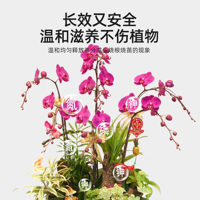 极速兰花a肥料专用肥缓释肥兰科蝴蝶兰墨兰君子兰促开花家用盆栽